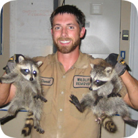 Wildlife Animal Control Pest Critter Removal